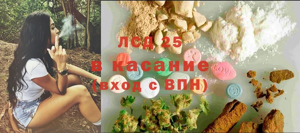 ГАЛЛЮЦИНОГЕННЫЕ ГРИБЫ Балахна