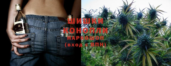 ГАЛЛЮЦИНОГЕННЫЕ ГРИБЫ Балахна