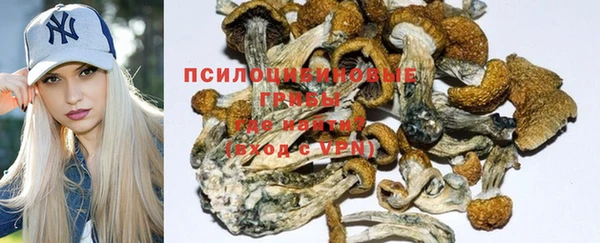 наркотики Белокуриха